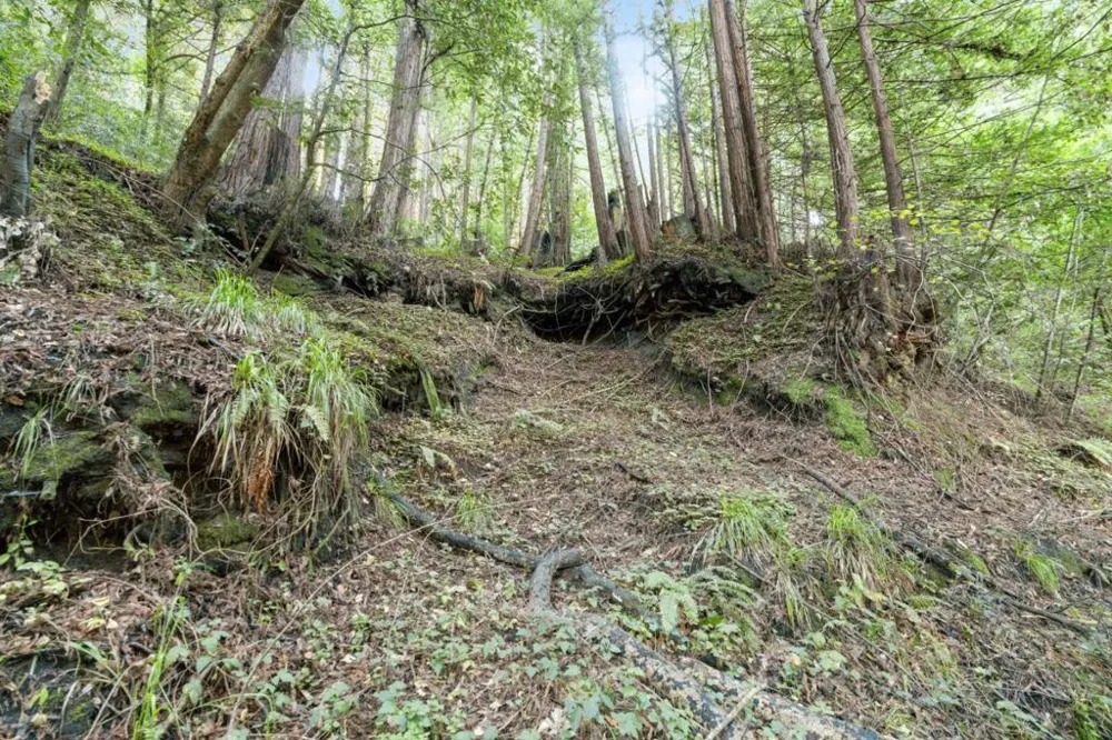 Pringle Lane Soquel, CA 95073