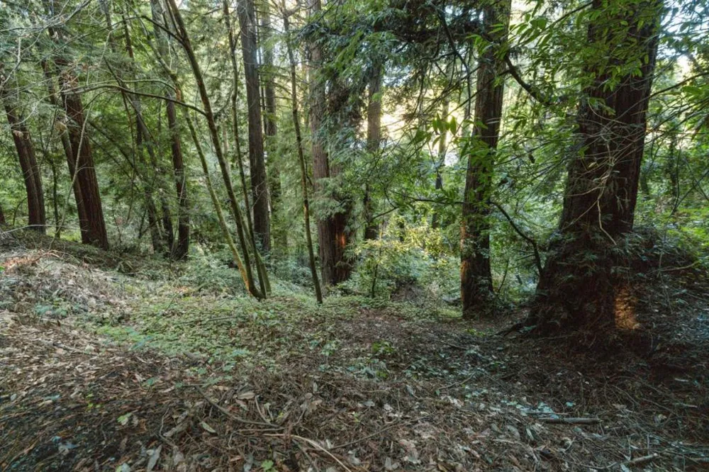 Pringle Lane Soquel, CA 95073