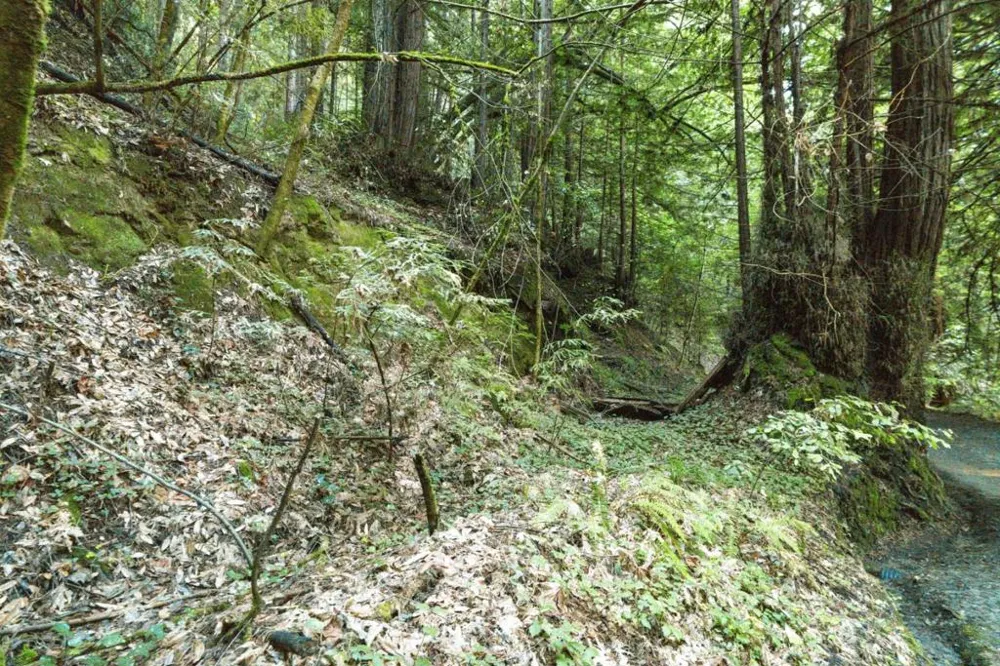 Pringle Lane Soquel, CA 95073