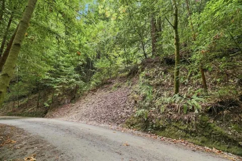 Pringle Lane