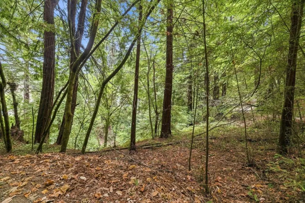 Pringle Lane Soquel, CA 95073