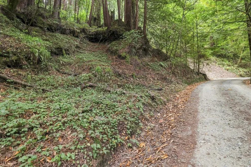 Pringle Lane Soquel, CA 95073