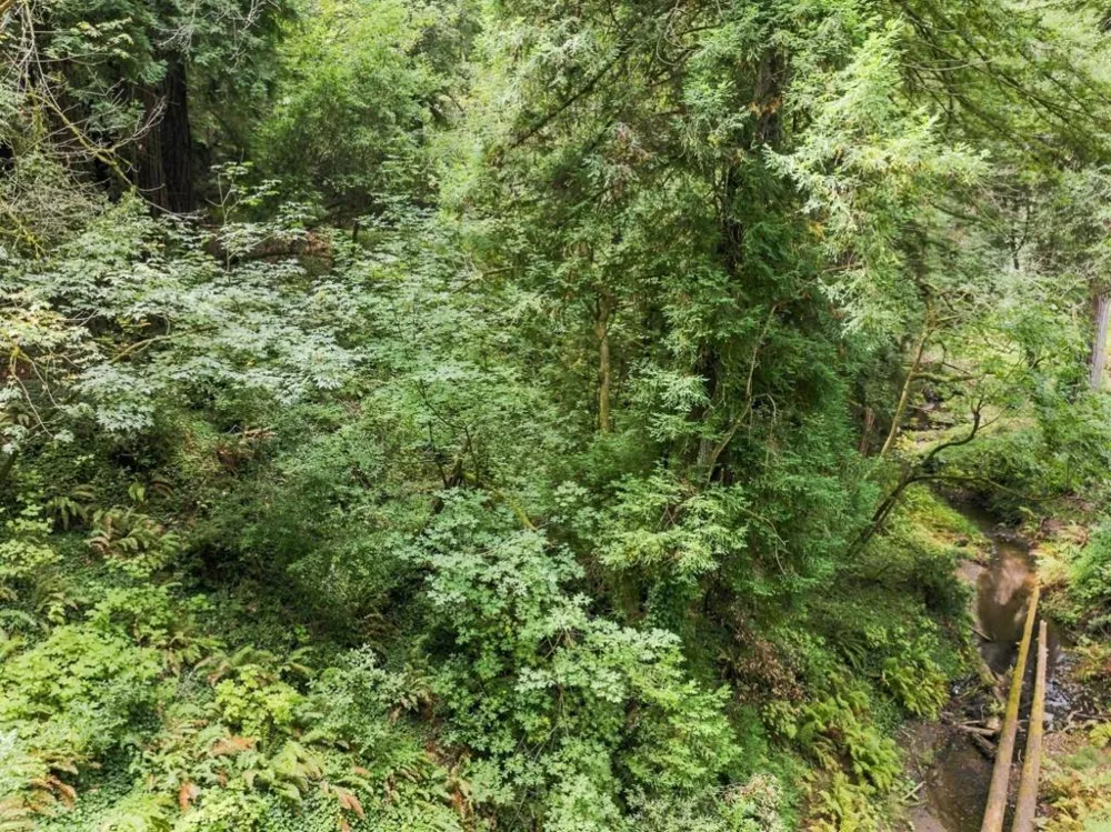 Pringle Lane Soquel, CA 95073
