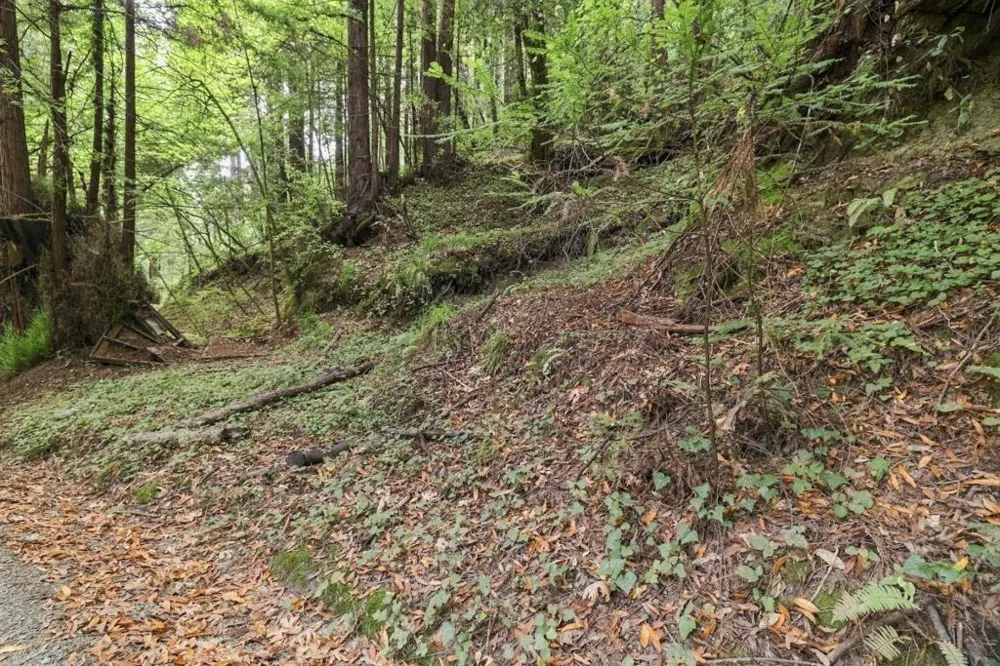 Pringle Lane Soquel, CA 95073