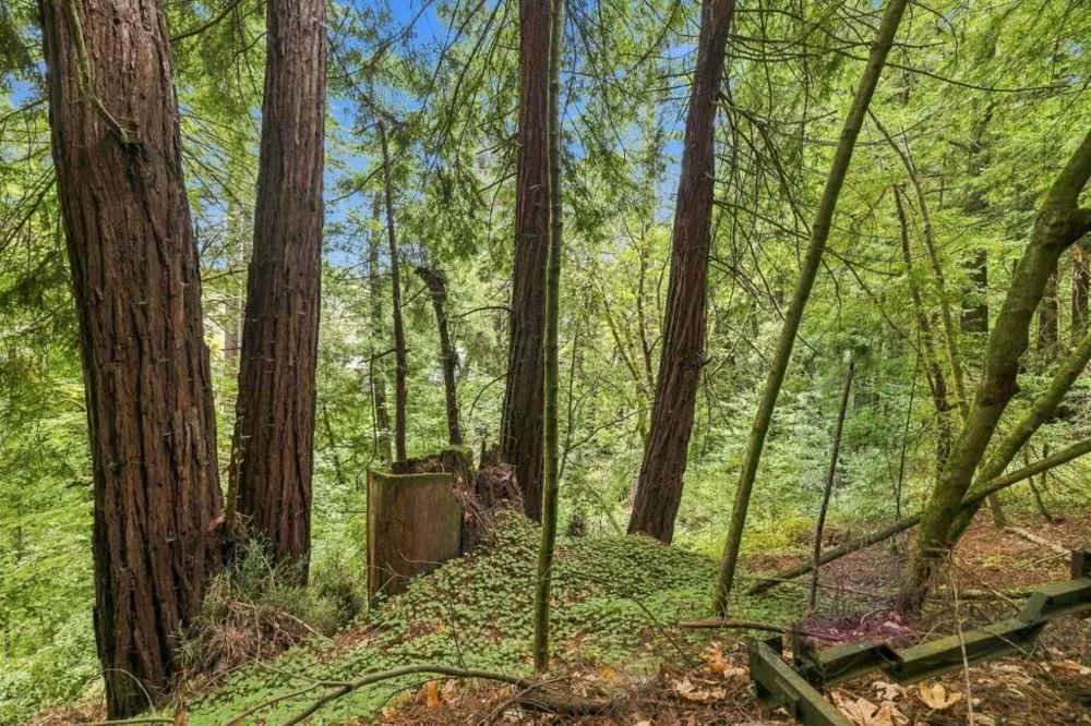 Pringle Lane Soquel, CA 95073