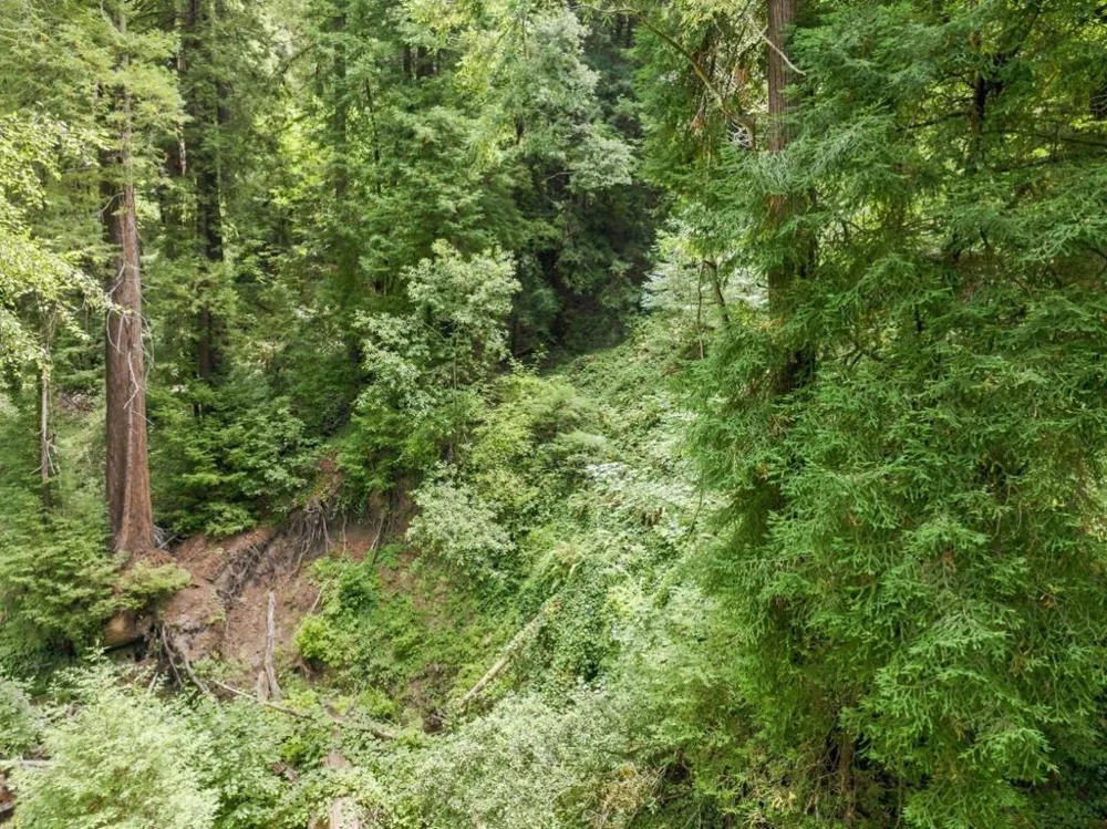 Pringle Lane Soquel, CA 95073