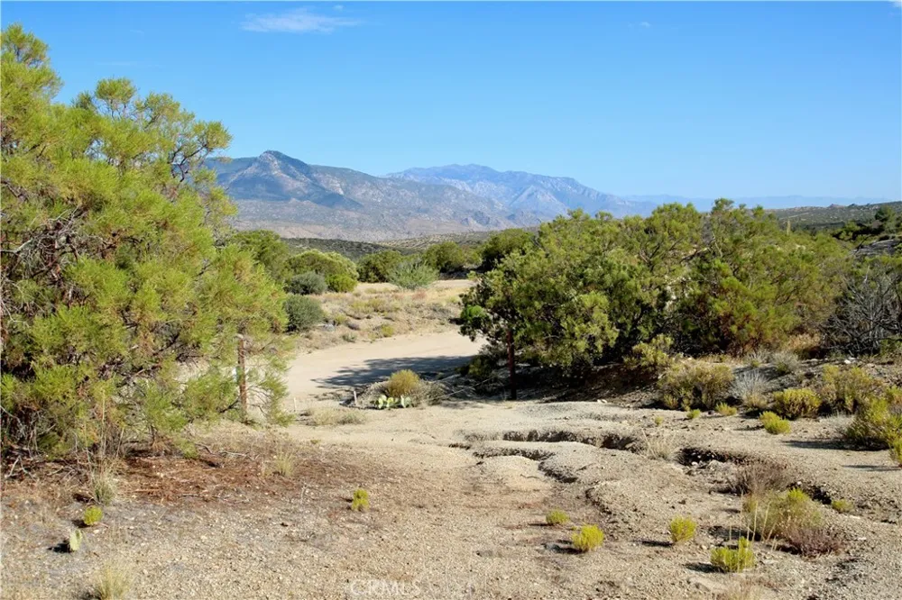 75230 Palm Canyon Drive Pinyon Pines, CA 92561