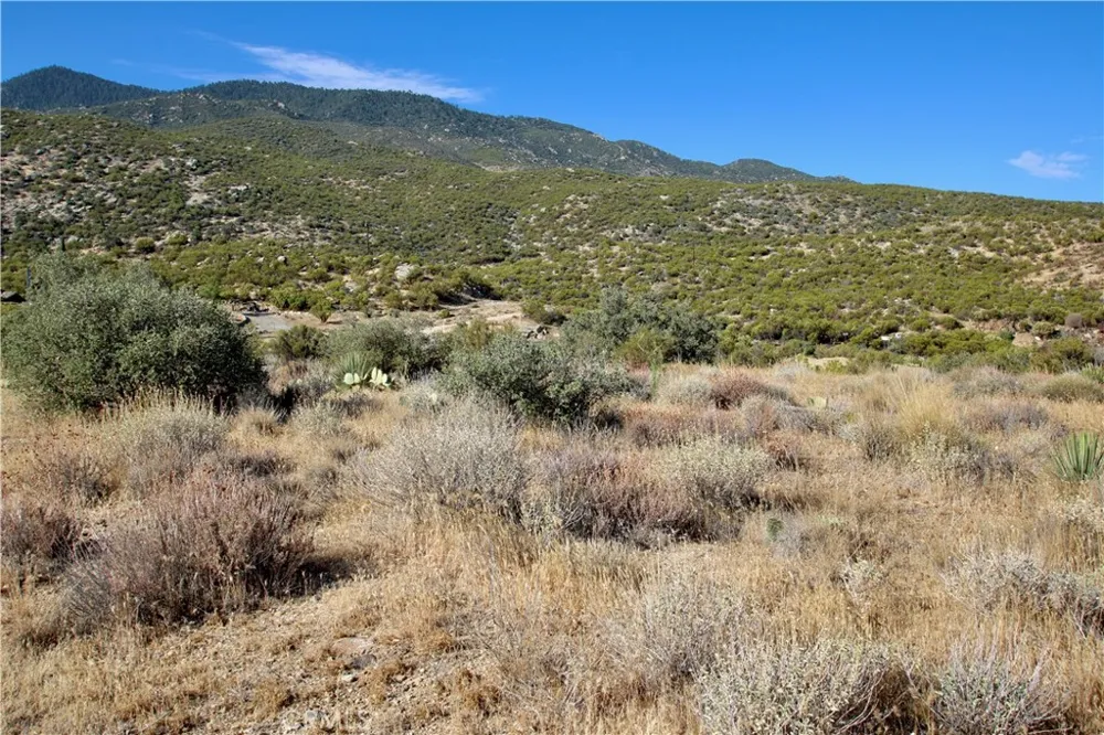 75230 Palm Canyon Drive Pinyon Pines, CA 92561