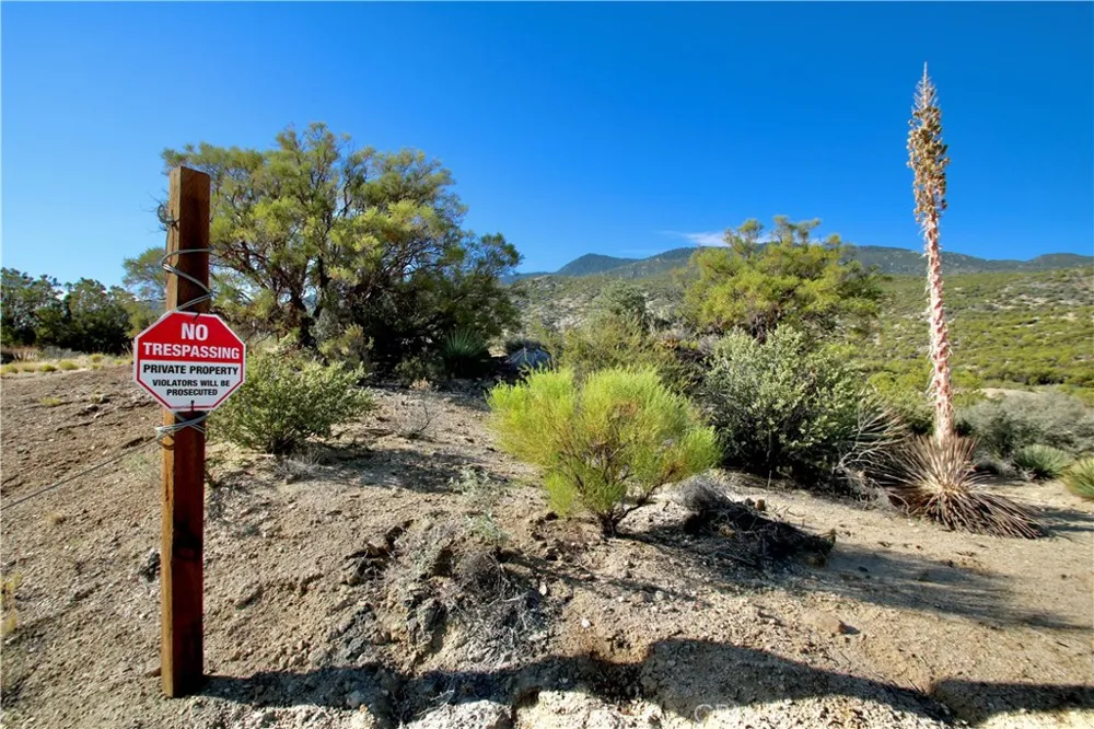 75230 Palm Canyon Drive Pinyon Pines, CA 92561