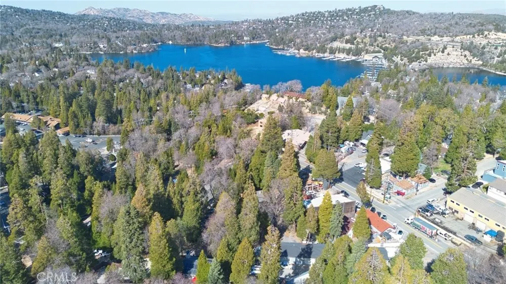 29083 Hook Creek Cedar Glen, CA 92321