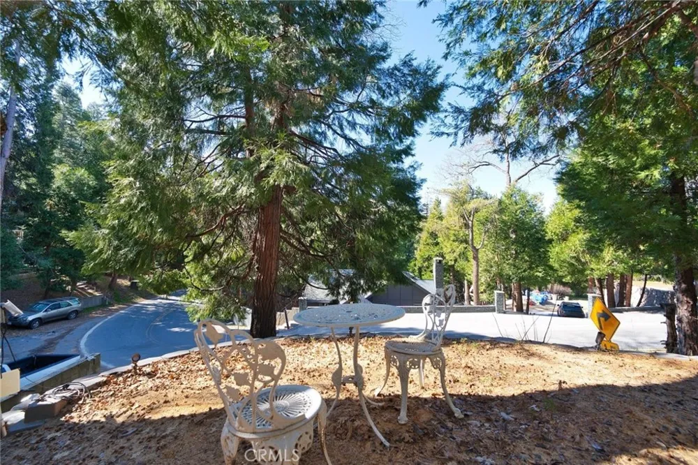 29083 Hook Creek Cedar Glen, CA 92321