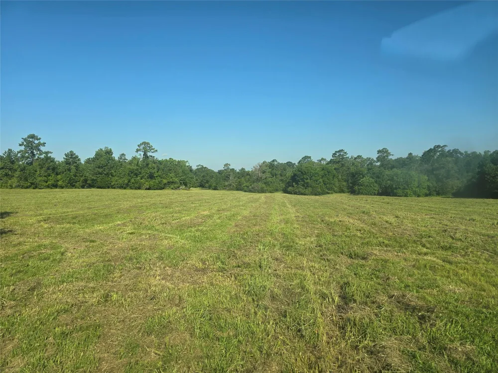 Hwy 150 W Coldspring, TX 77331