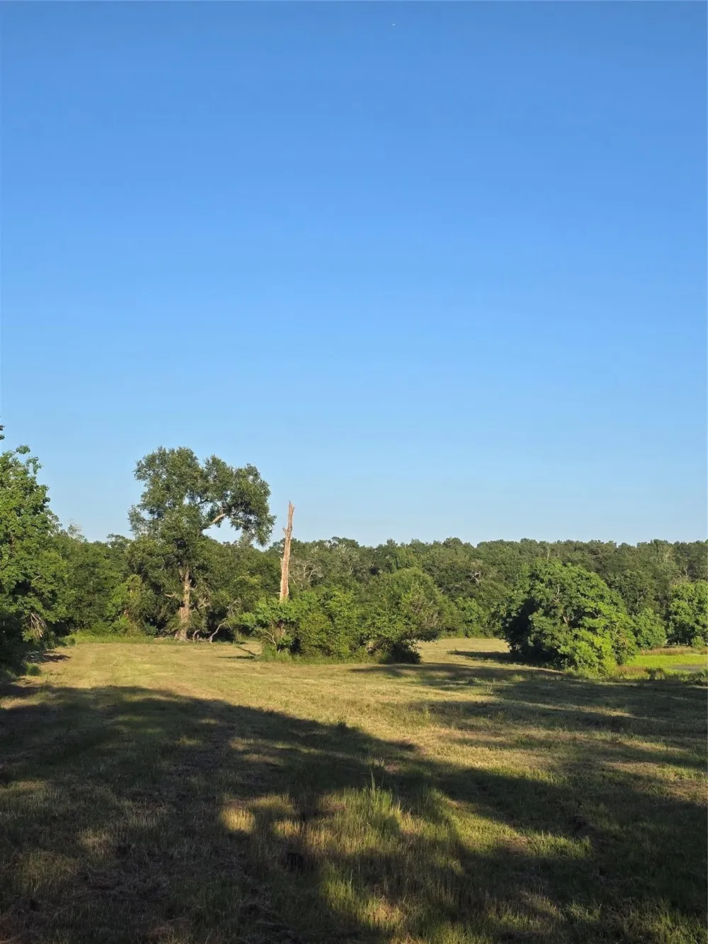 Hwy 150 W Coldspring, TX 77331