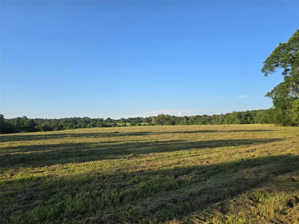 Hwy 150 W Coldspring, TX 77331
