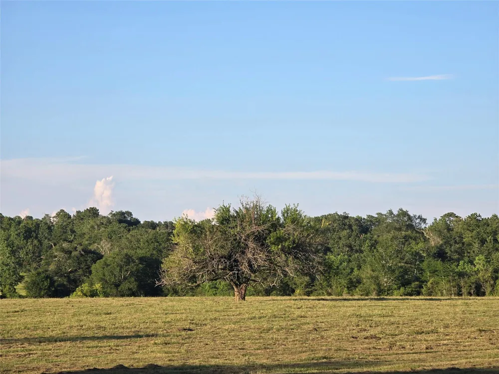 Hwy 150 W Coldspring, TX 77331