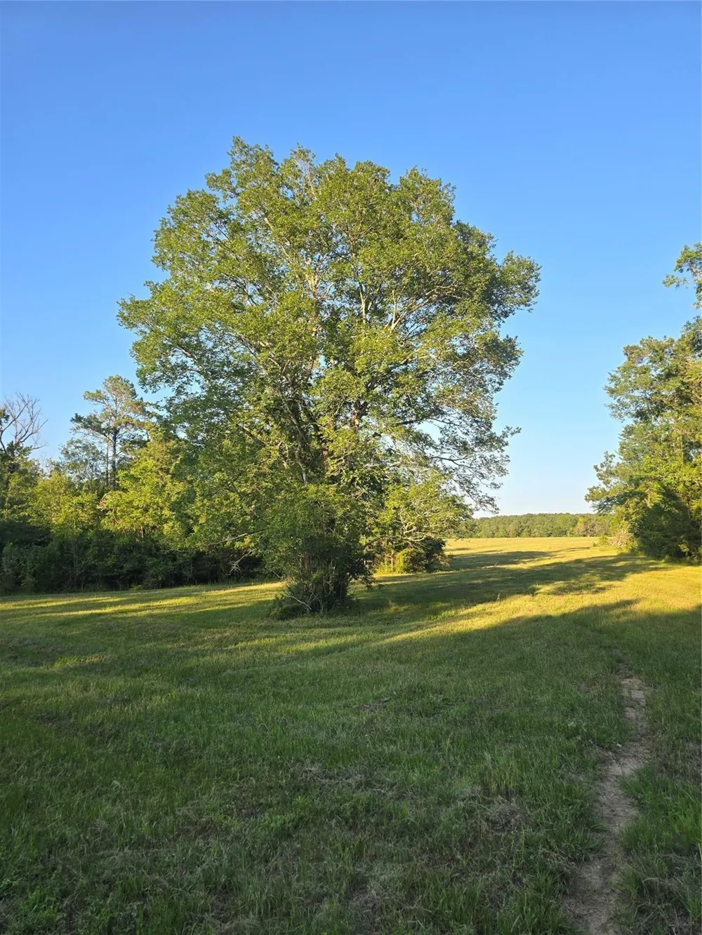 Hwy 150 W Coldspring, TX 77331