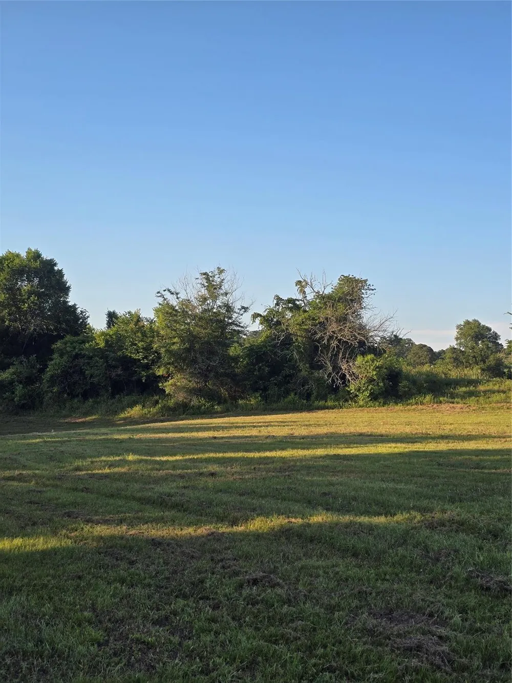 Hwy 150 W Coldspring, TX 77331