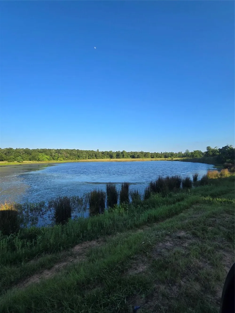Hwy 150 W Coldspring, TX 77331