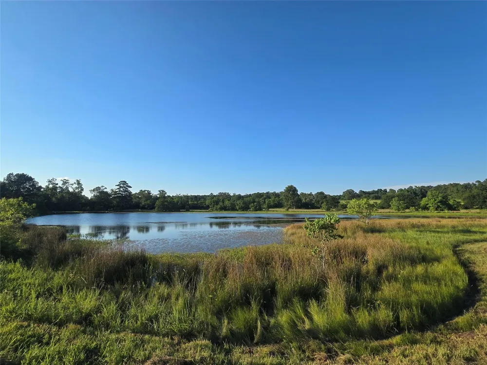 Hwy 150 W Coldspring, TX 77331
