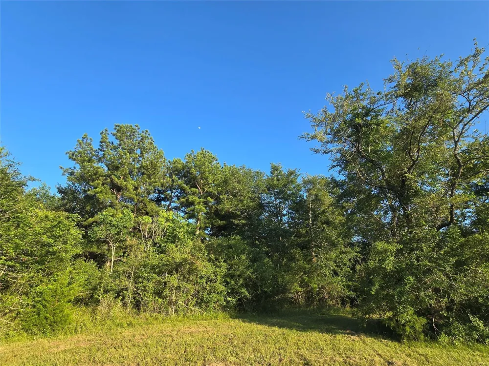 Hwy 150 W Coldspring, TX 77331