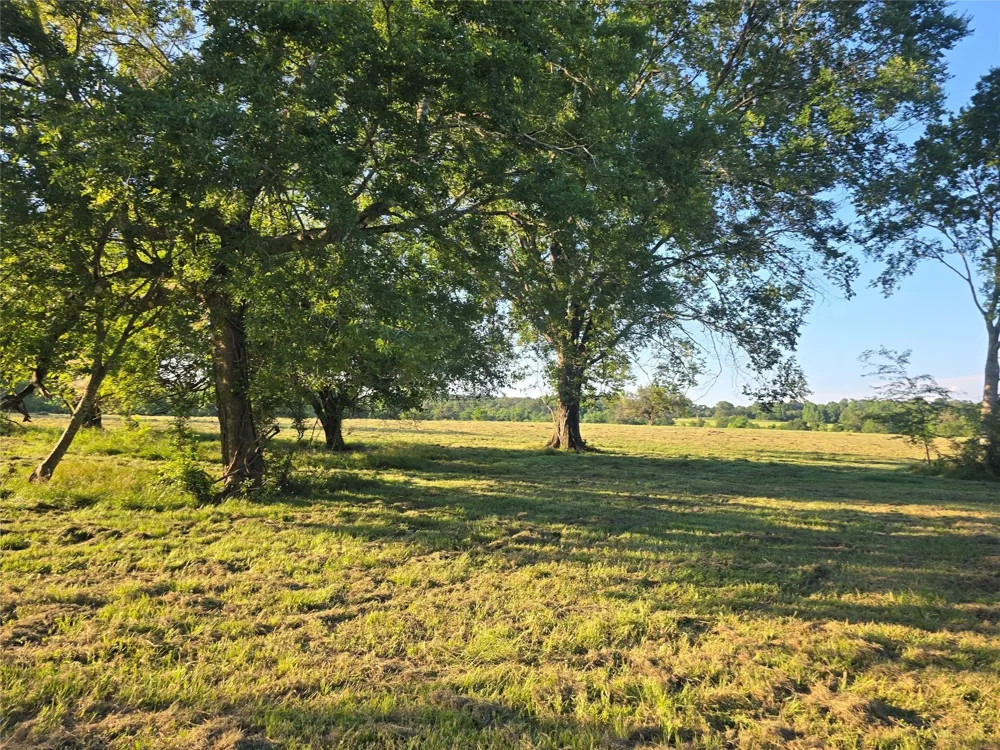 Hwy 150 W Coldspring, TX 77331
