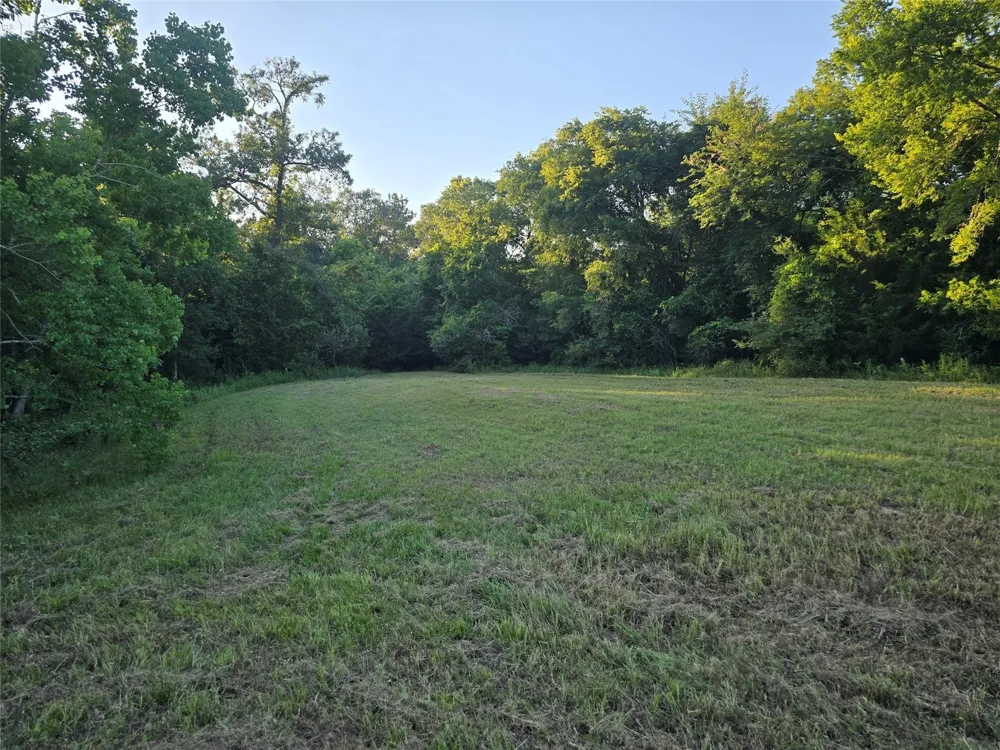 Hwy 150 W Coldspring, TX 77331