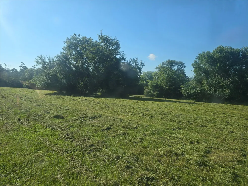 Hwy 150 W Coldspring, TX 77331