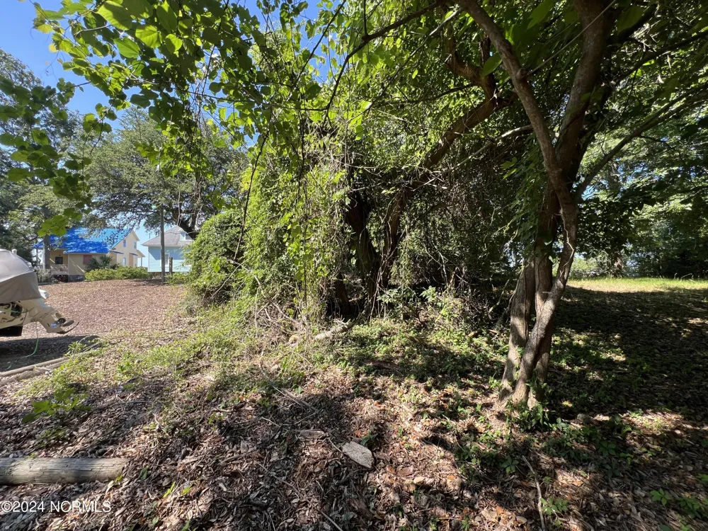443 Kitty Hawk Bay Drive Kill Devil Hills, NC 27948