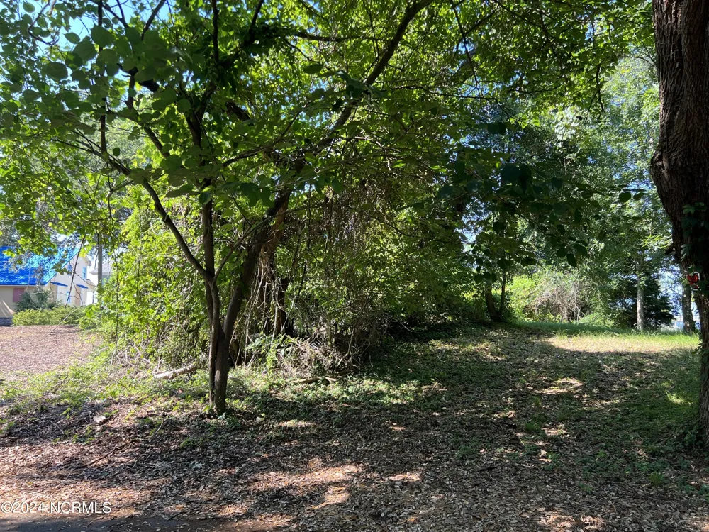 443 Kitty Hawk Bay Drive Kill Devil Hills, NC 27948