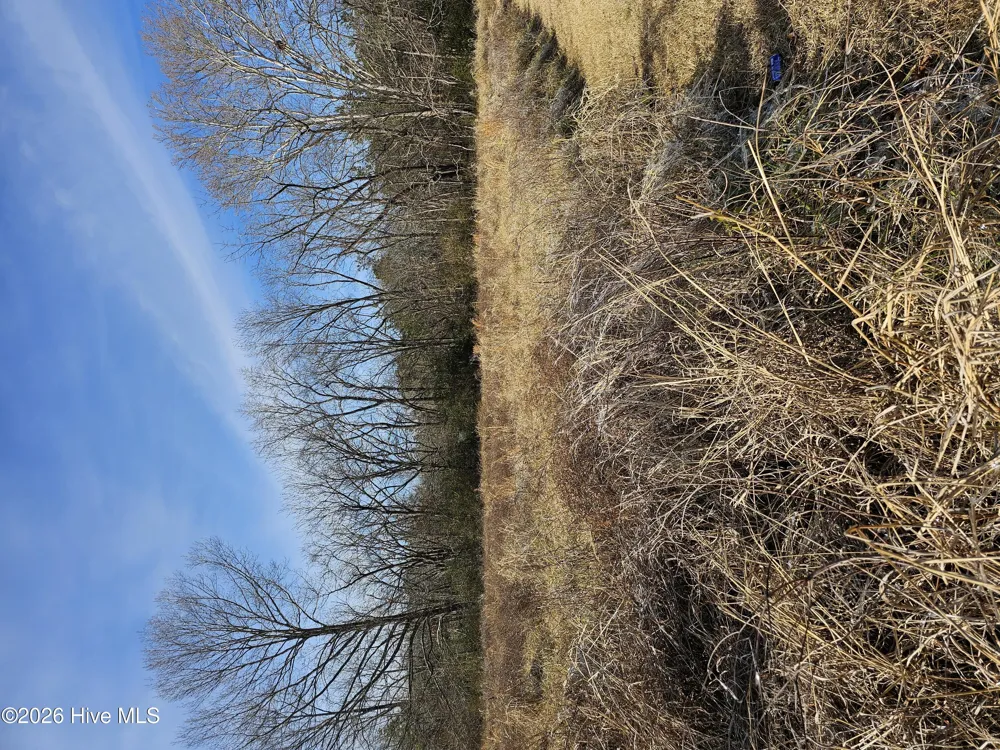 Tbd E Main Street Woodland, NC 27897