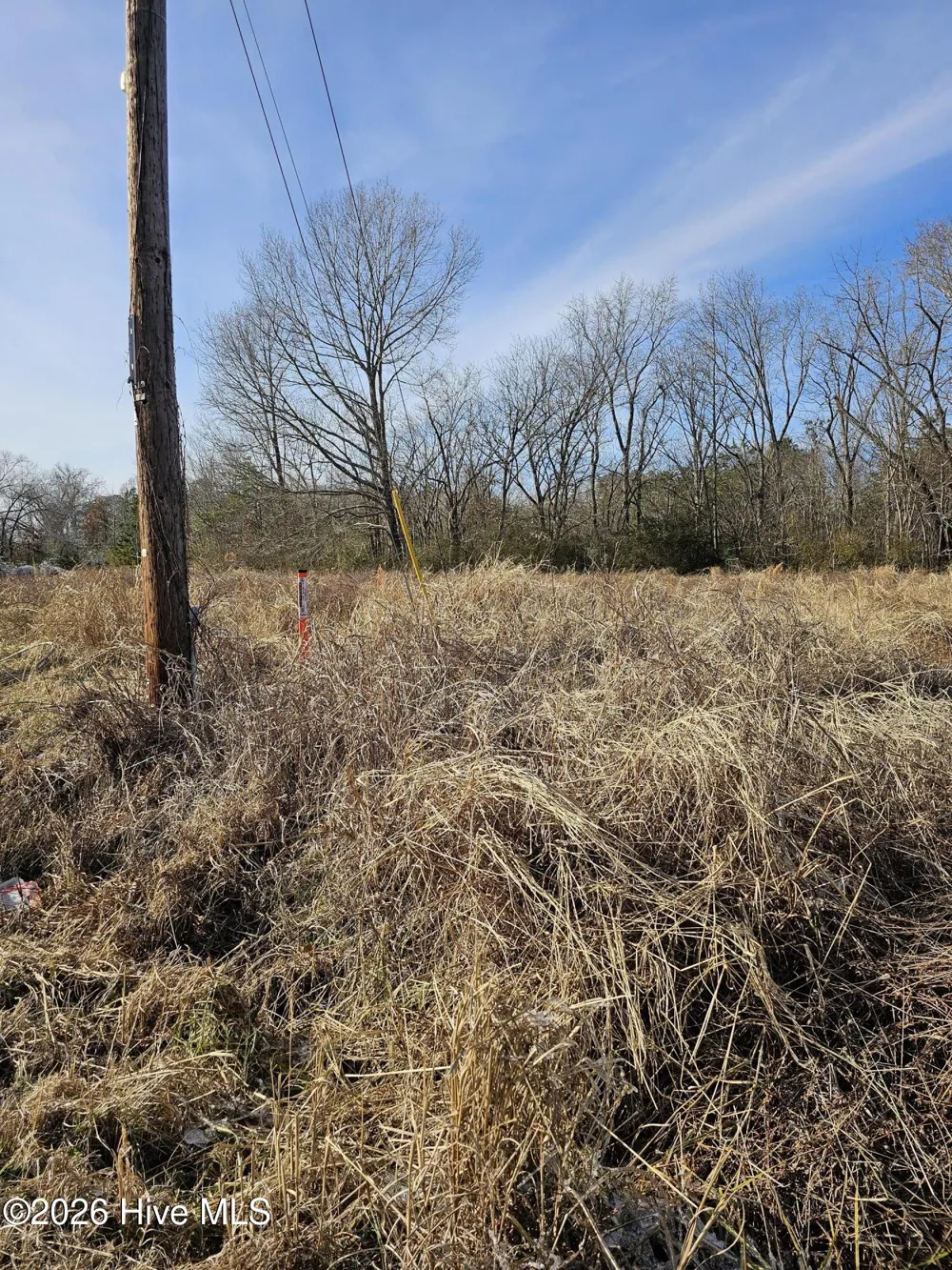 Tbd E Main Street Woodland, NC 27897
