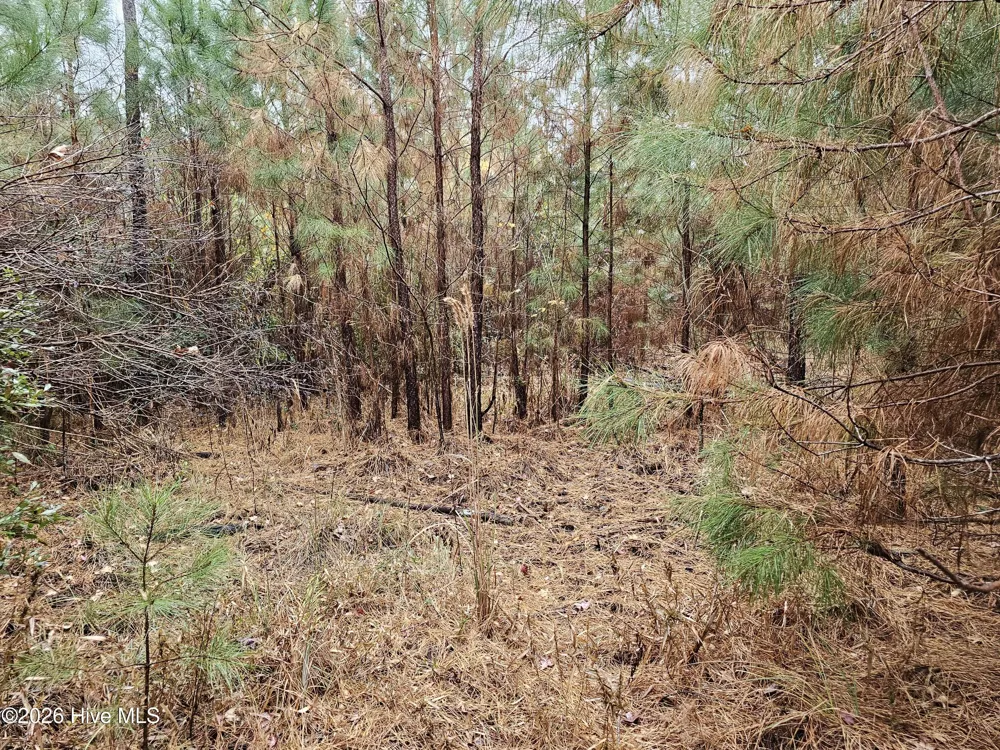 0 Nc-304 Bayboro, NC 28515