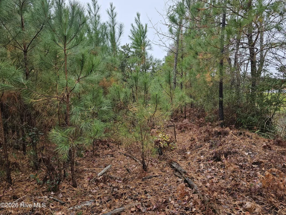 0 Nc-304 Bayboro, NC 28515