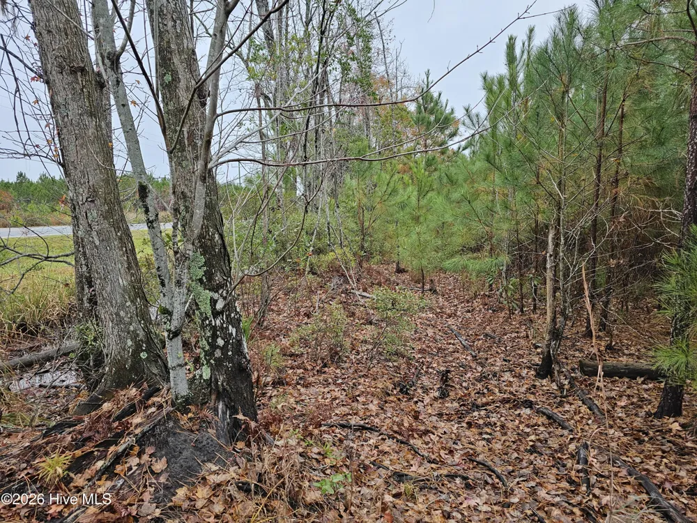 0 Nc-304 Bayboro, NC 28515