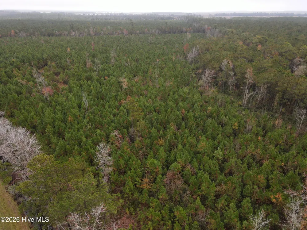 0 Nc-304 Bayboro, NC 28515