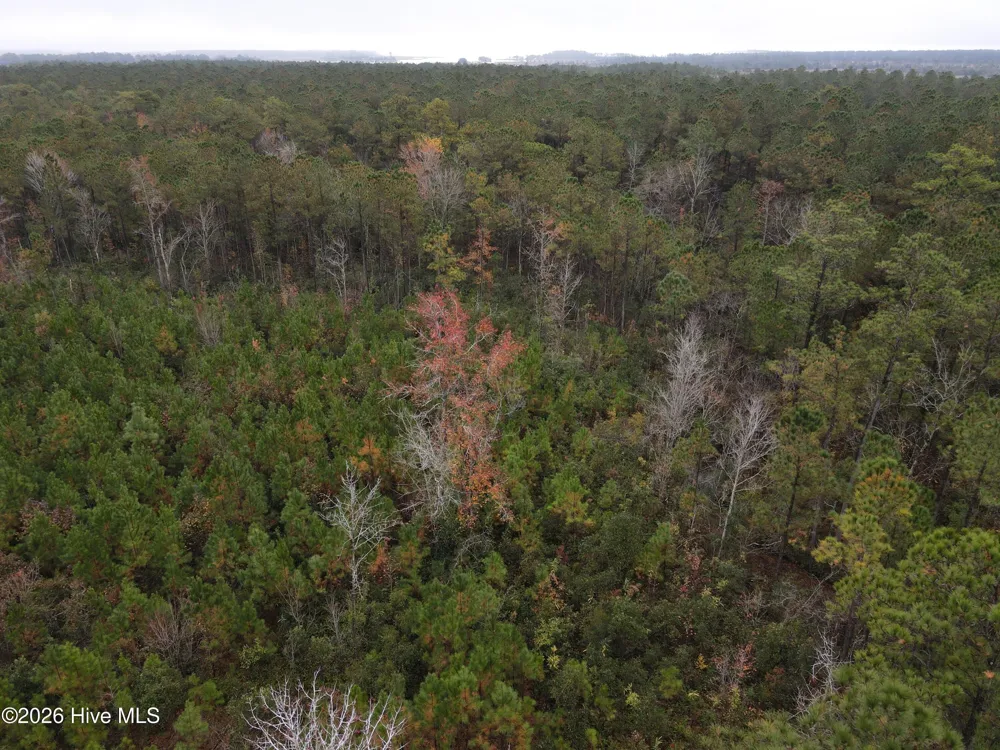 0 Nc-304 Bayboro, NC 28515