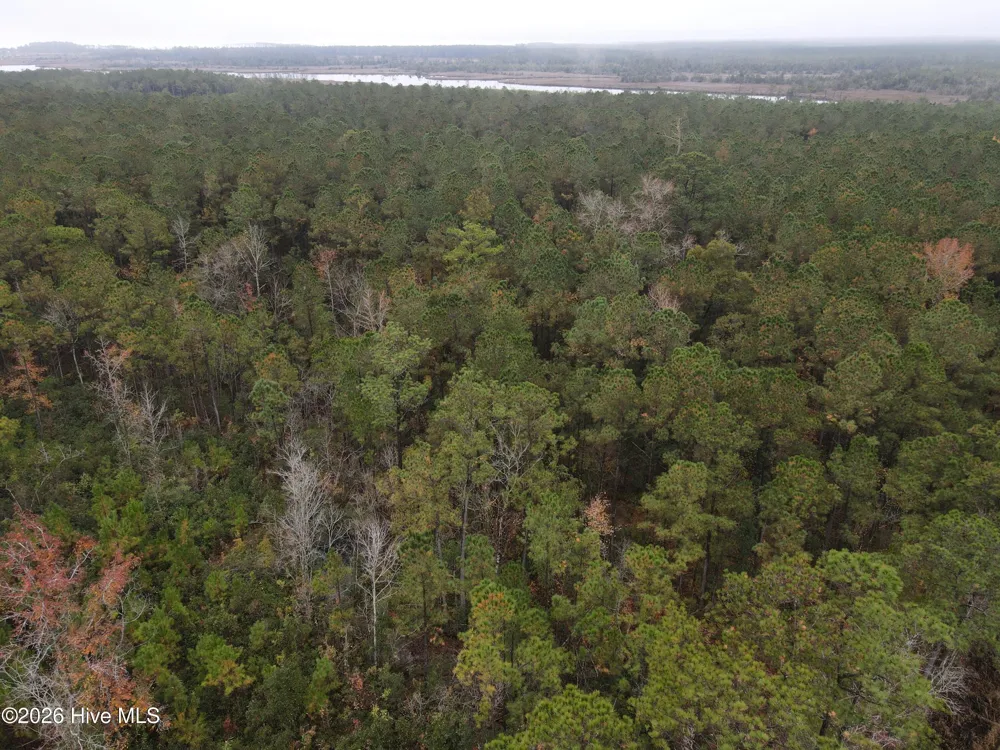 0 Nc-304 Bayboro, NC 28515