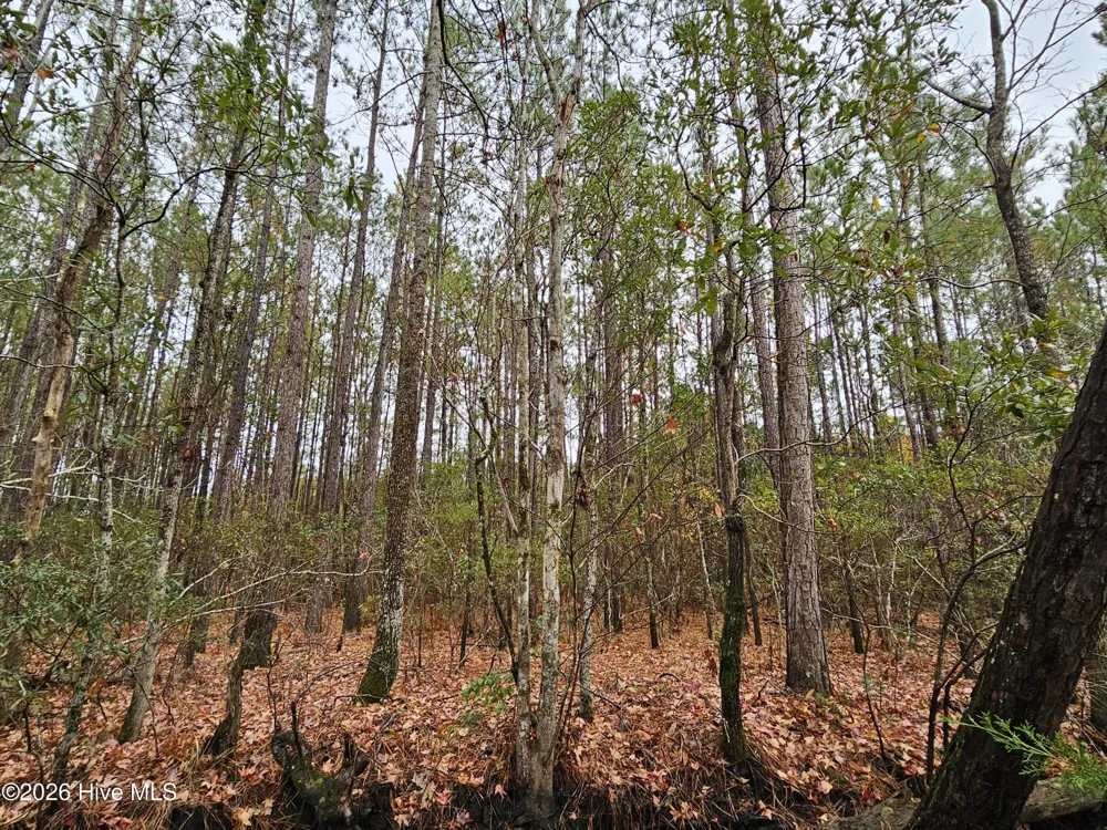 0 Nc-304 Bayboro, NC 28515