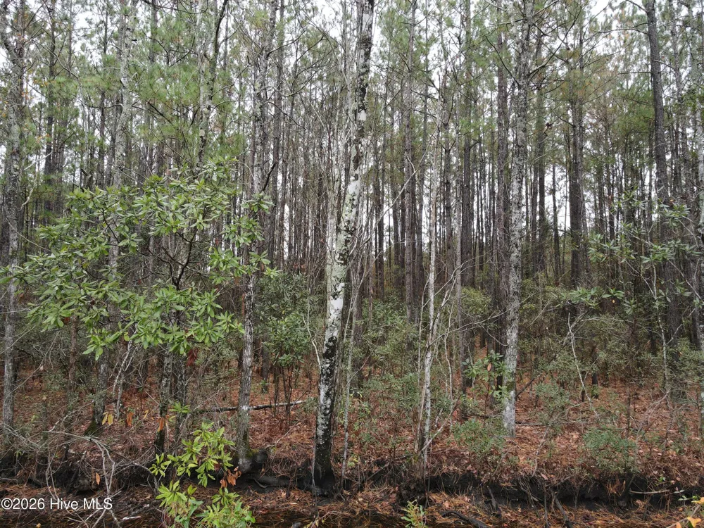 0 Nc-304 Bayboro, NC 28515