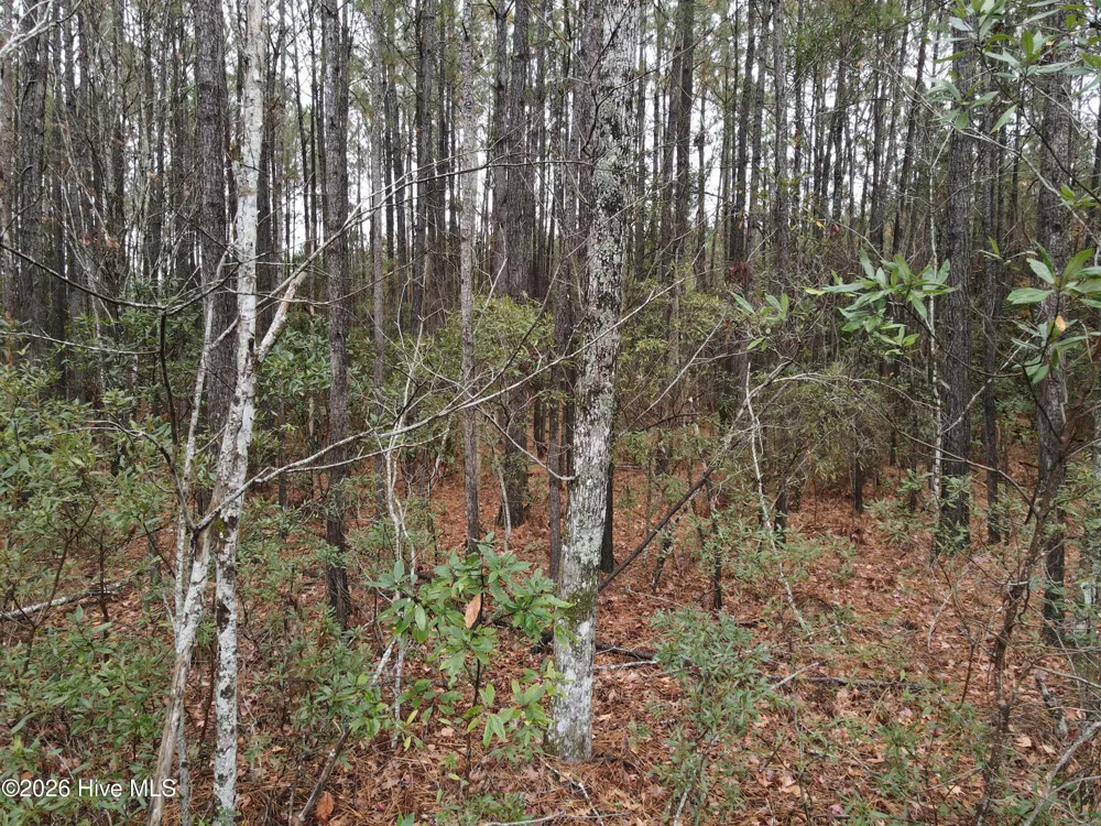 0 Nc-304 Bayboro, NC 28515