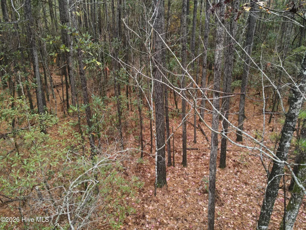 0 Nc-304 Bayboro, NC 28515