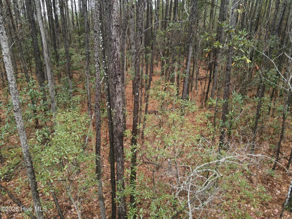 0 Nc-304 Bayboro, NC 28515