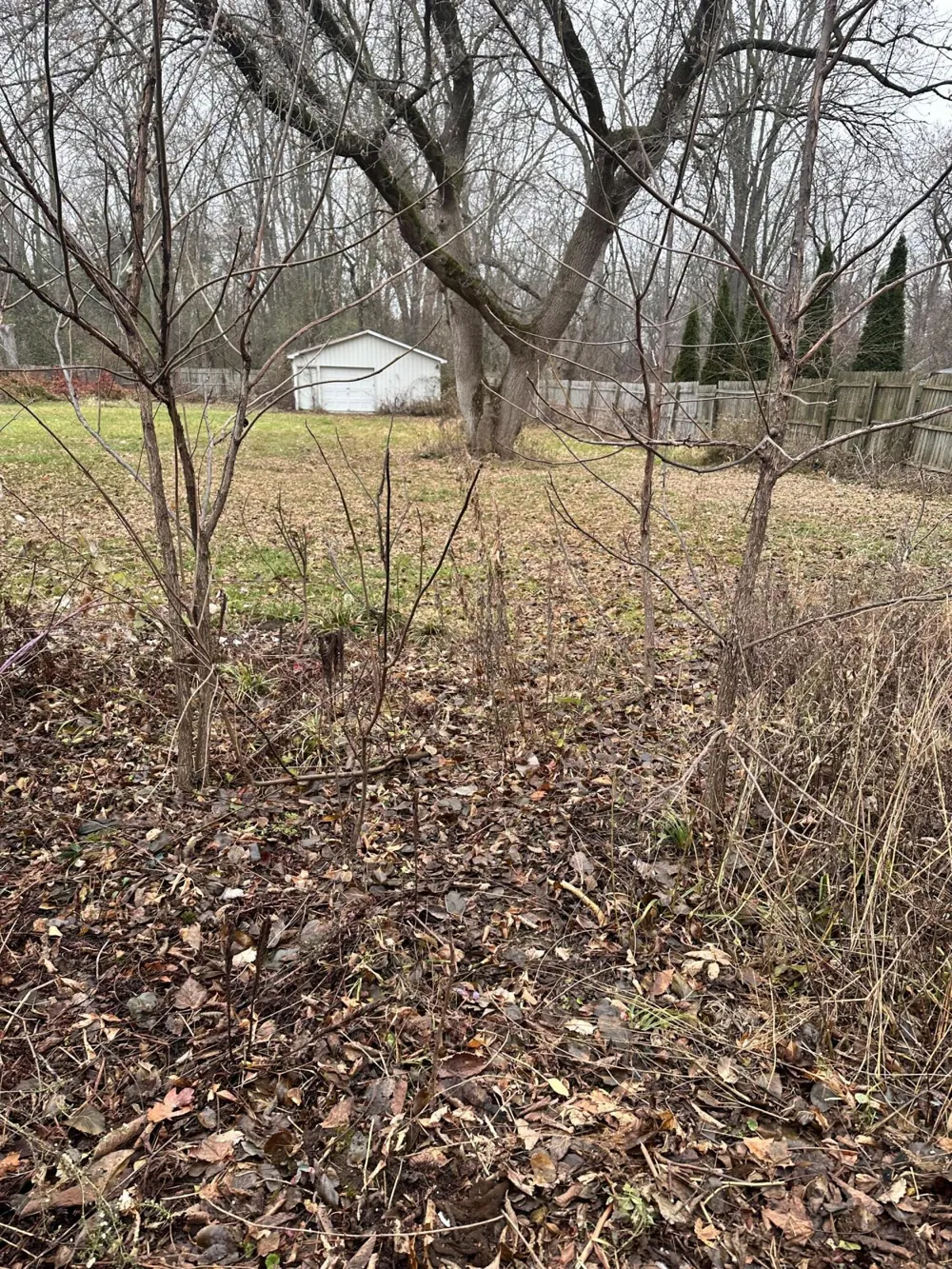 320 Lutzke Road Thomas Township, MI 48609