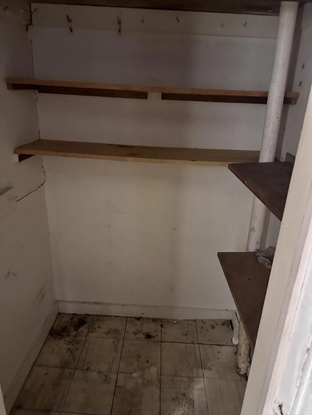 320 Lutzke Road Thomas Township, MI 48609