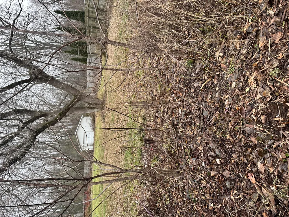 320 Lutzke Road Thomas Township, MI 48609