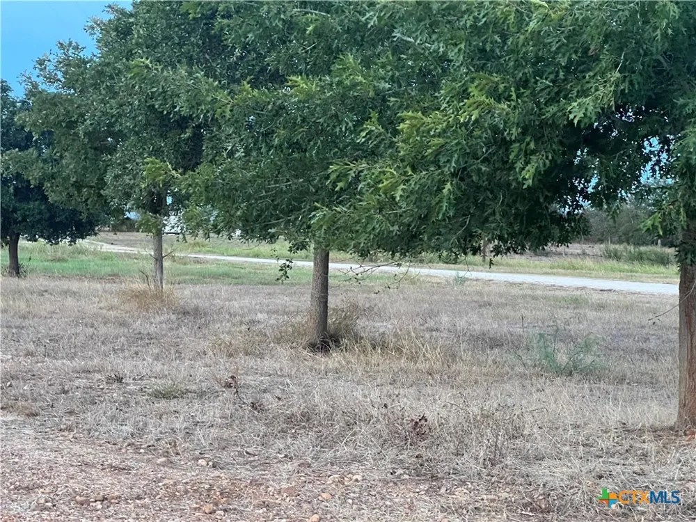 2 Horseshoe Drive Gonzales, TX 78629