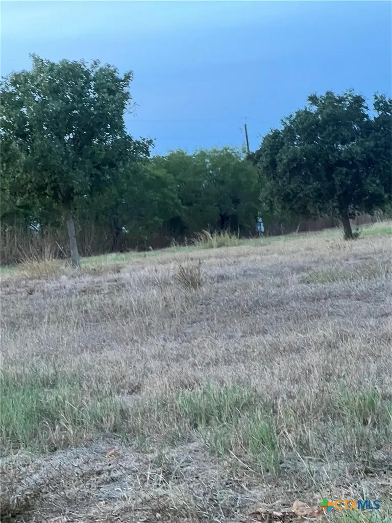 2 Horseshoe Drive Gonzales, TX 78629