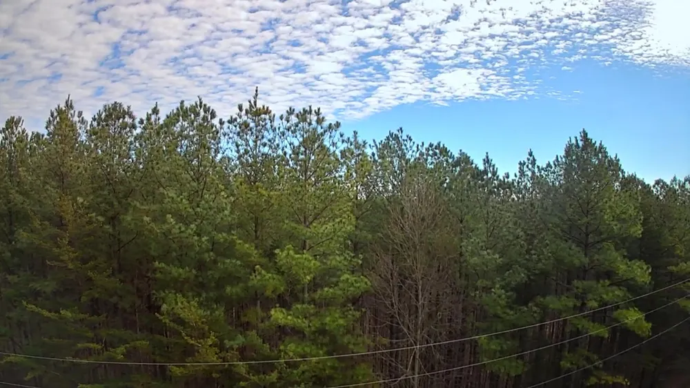 Sunset Road Spencer, TN 38585