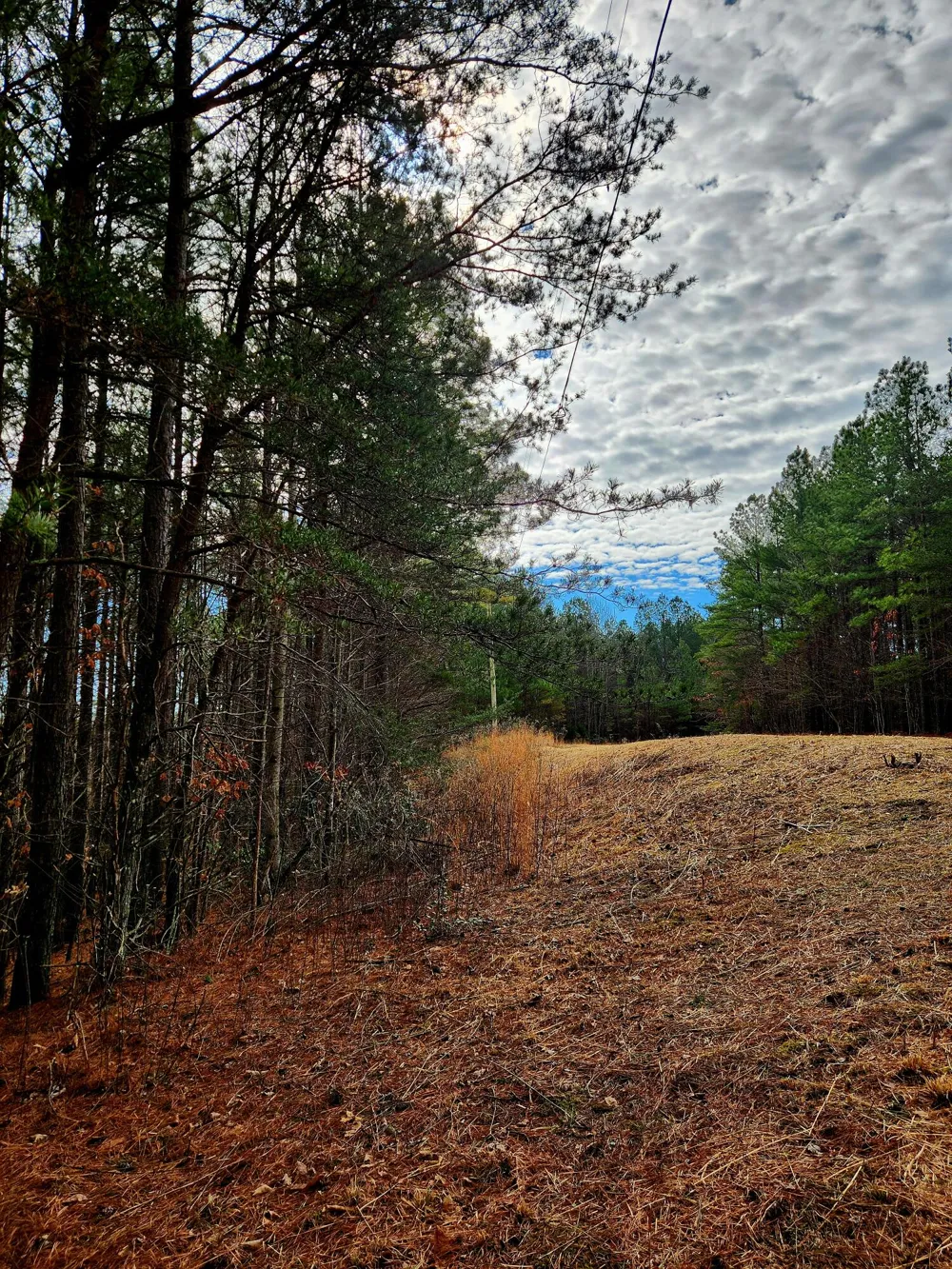Sunset Road Spencer, TN 38585