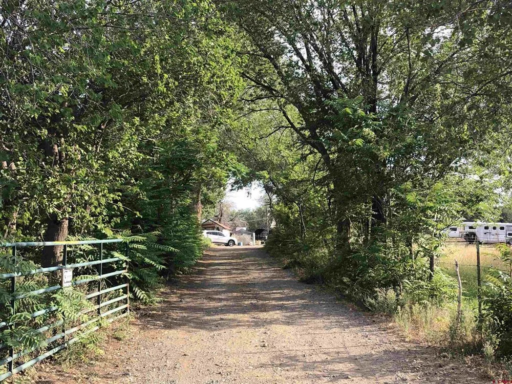 27701 BB ROAD Nucla, CO 81424